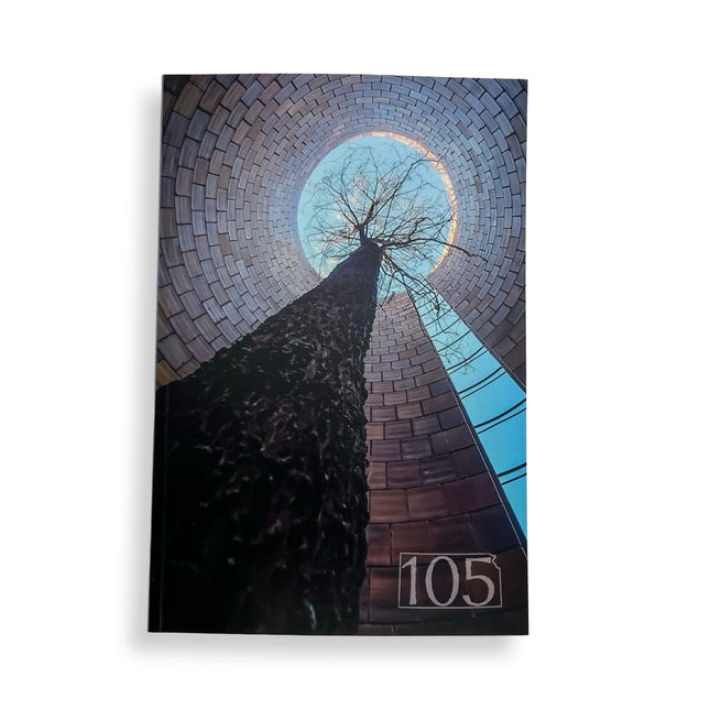 105 Meadowlark Reader: Luck (Issue #9)