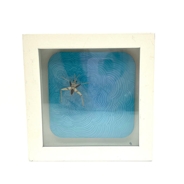 Waterstrider