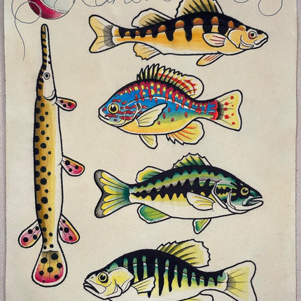 Kansas Fish Flash Sheet