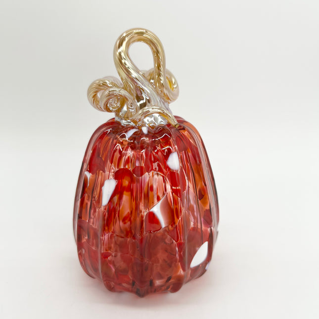 02 | Red Mix Gold Stem Pumpkin
