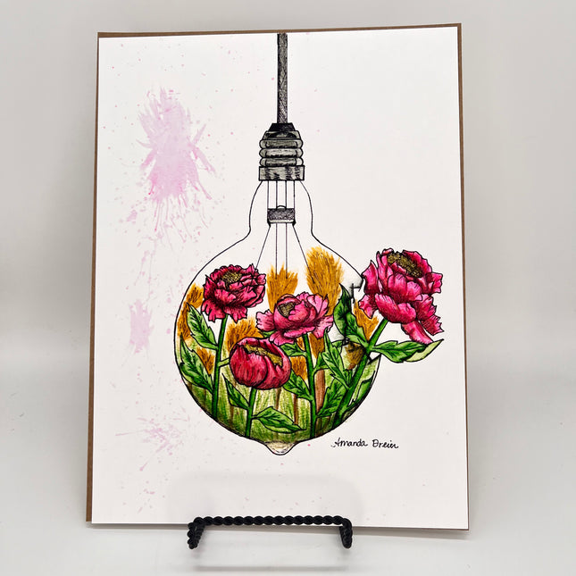 Peony Bulb