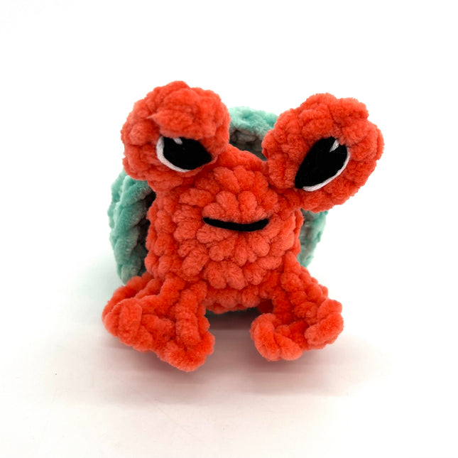 Hermit Crab - Orange & Aqua