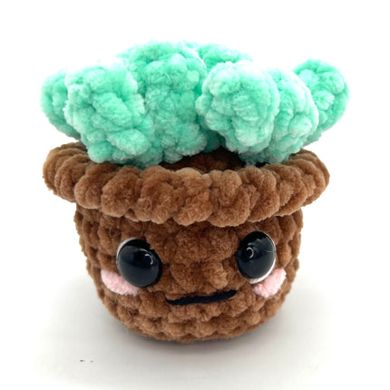 Succulent-Brown