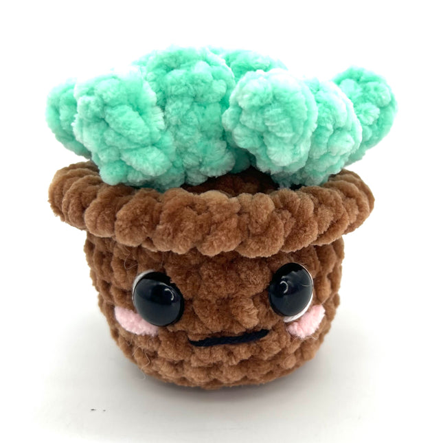 Succulent-Brown