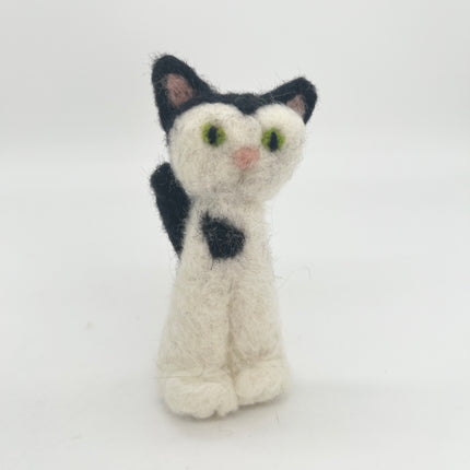 Black & White Cat