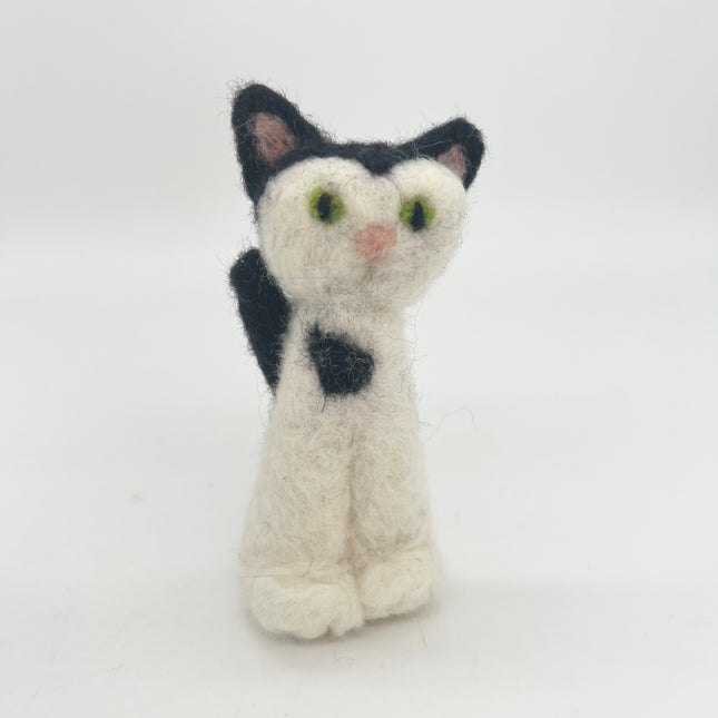Black & White Cat