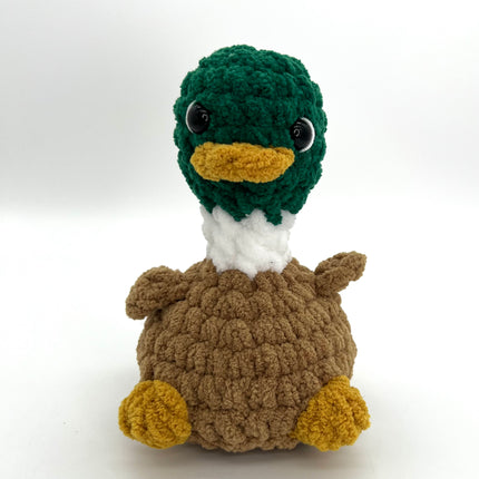 Mallard Silly Bird