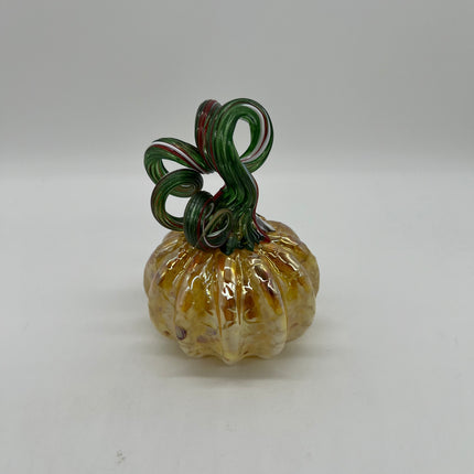03 | Gold Cream Medium Pumpkin