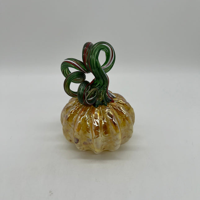 03 | Gold Cream Medium Pumpkin
