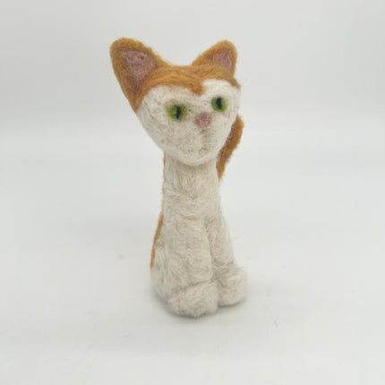 02 | Orange & White Cat