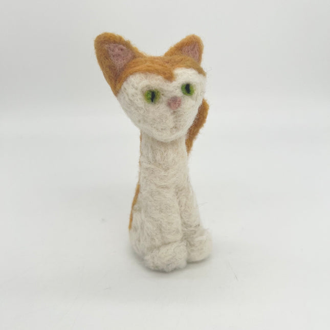 02 | Orange & White Cat