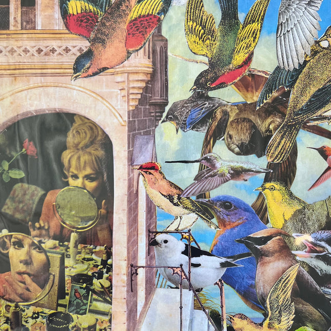 Bird Watching