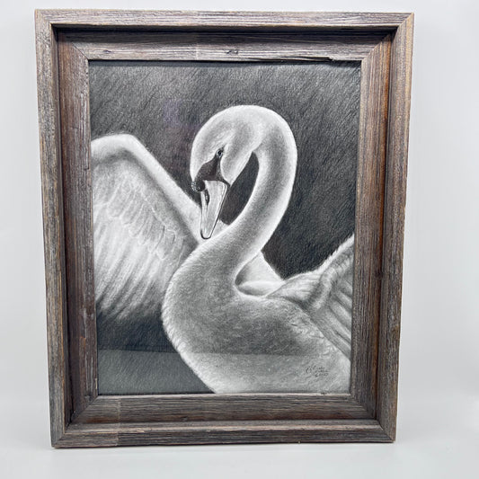 Black and White Swan in Grey Frame