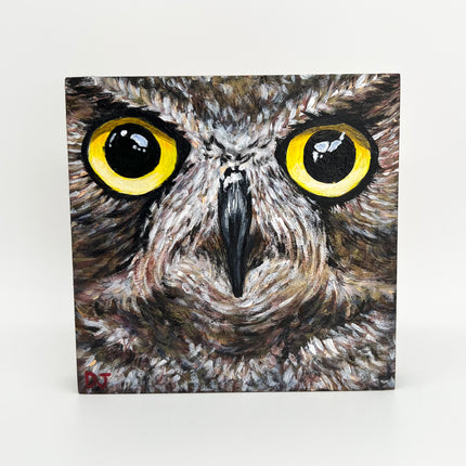 Owl