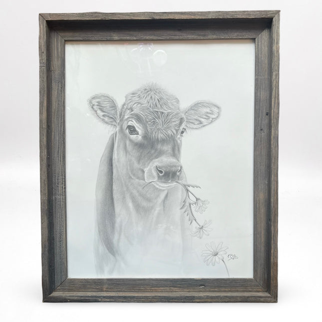 Jersey Cow