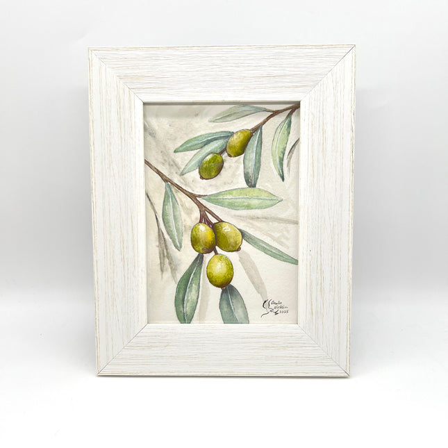Olive Branch