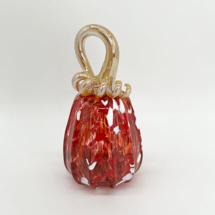 03 | Red Mix Gold Stem Pumpkin
