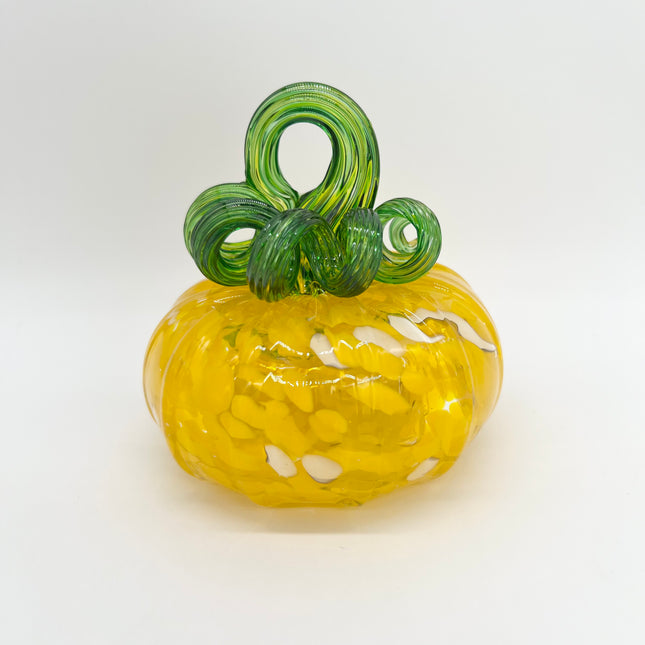 02 | Medium Yellow Mix Pumpkin