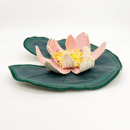 Water Lily Pad