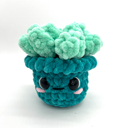 Succulent-Teal