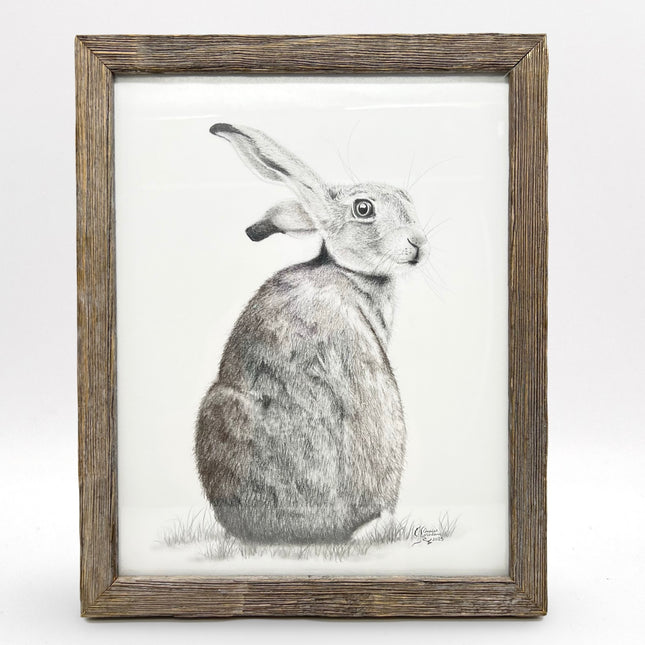 Wild Hare