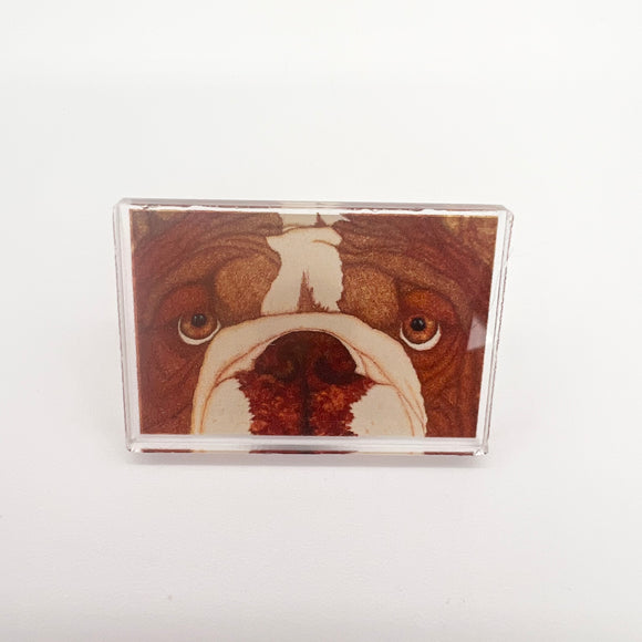 Bulldog Acrylic Pin