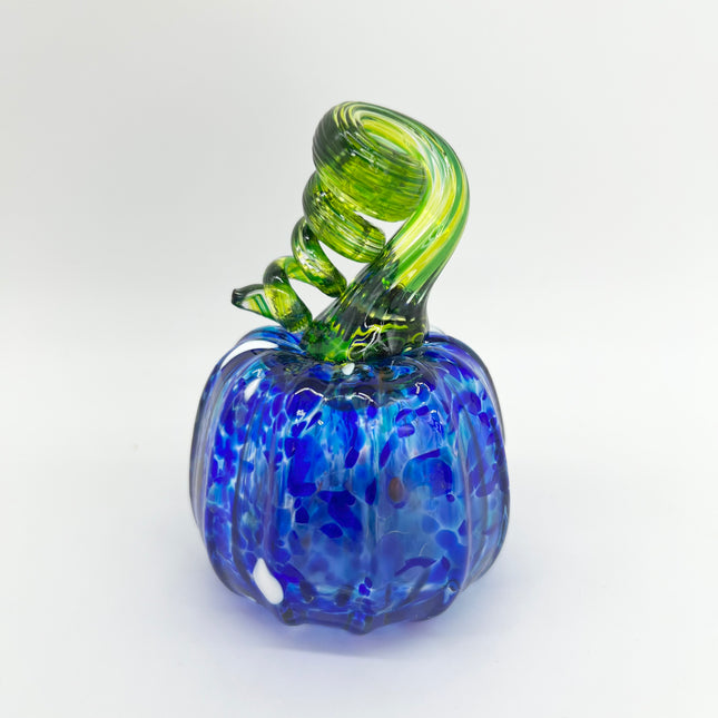 01 | Blue Mix Pumpkin