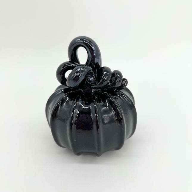 03 | Black with Black Stem Pumpkin