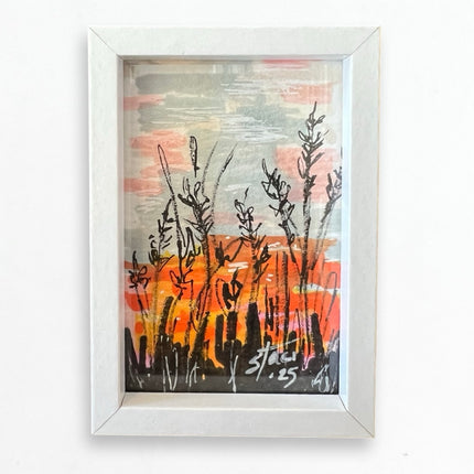 Sunset Fields
