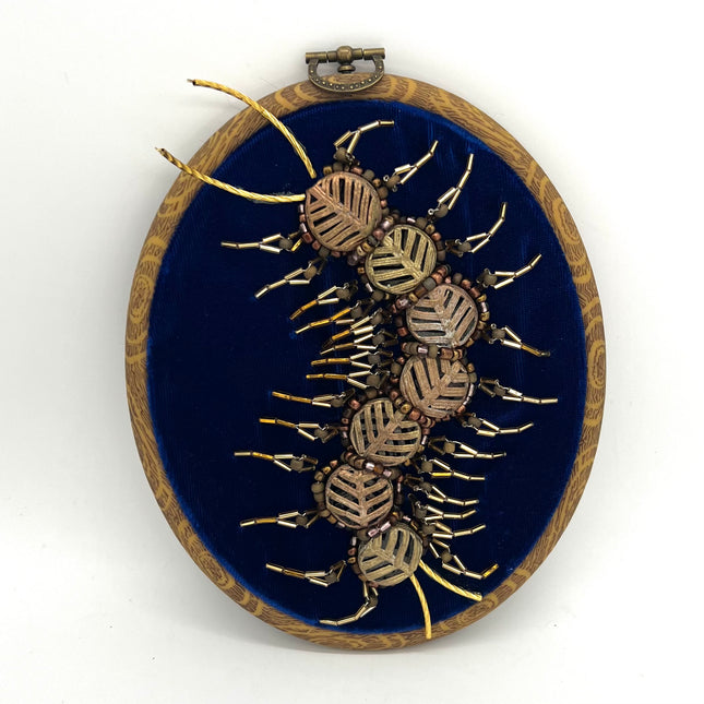 Beaded Centipede