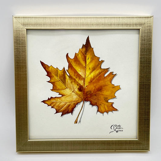 Sycamore Leaf in Gold Frame