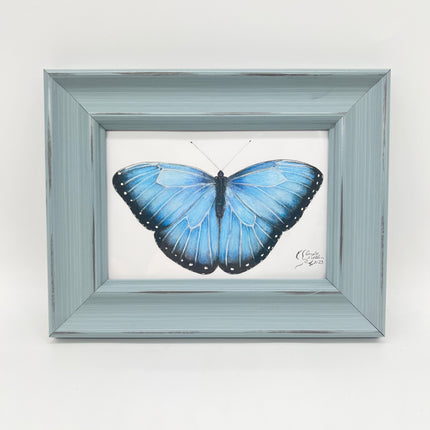 Butterfly 2