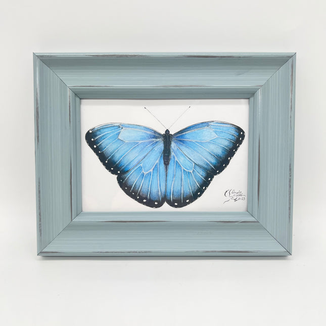 Butterfly 2