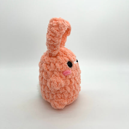 Coral Bunny
