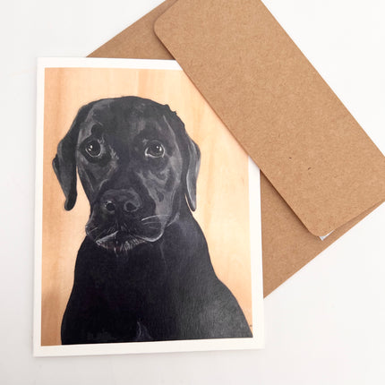 Black Lab