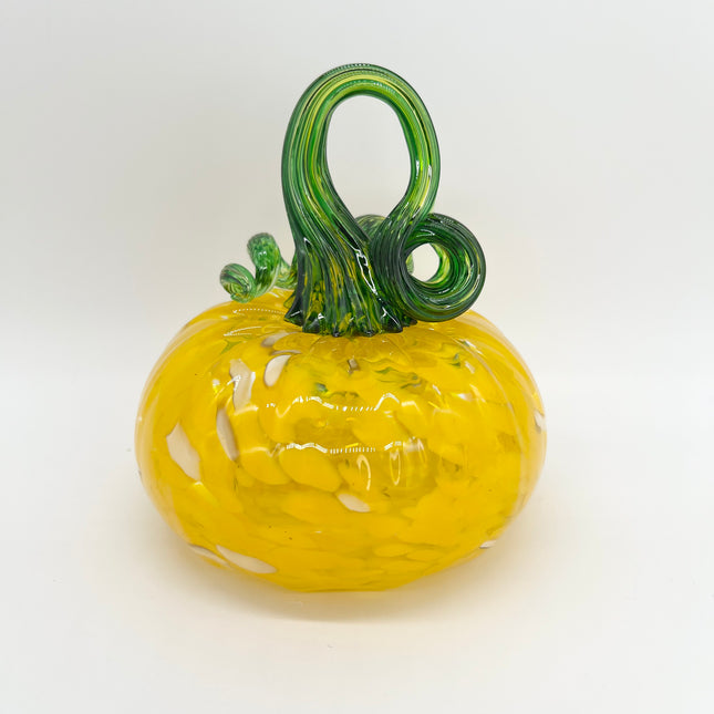 01 | Medium Yellow Mix Pumpkin