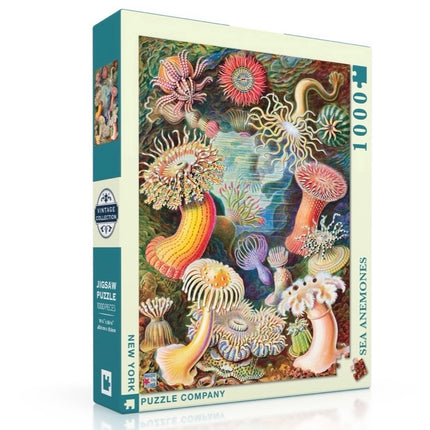 Sea Anemones Puzzle