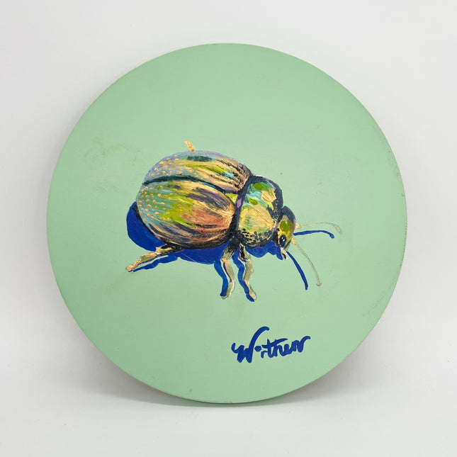 Beetle