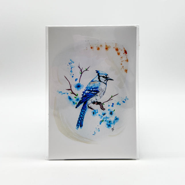 Blue Jay Print - 4" x 6"