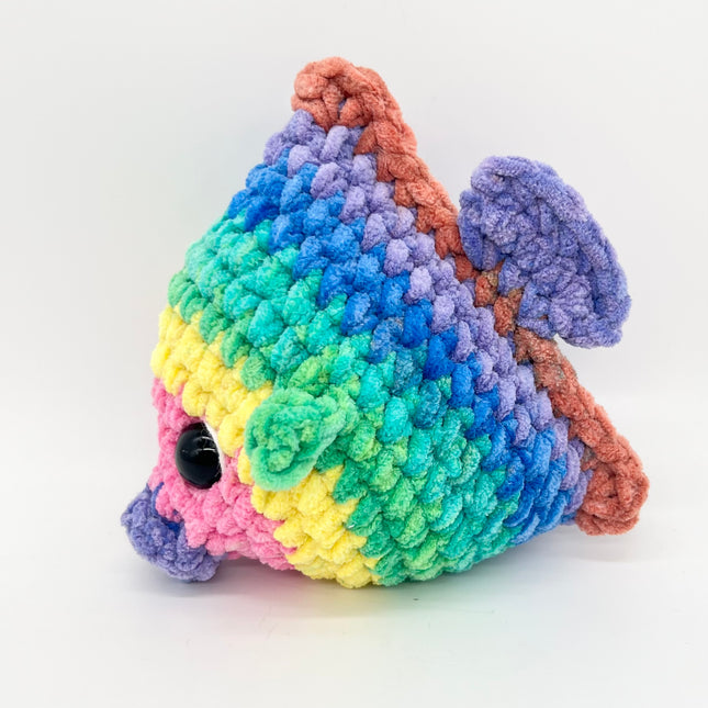 Angel Fish - Rainbow