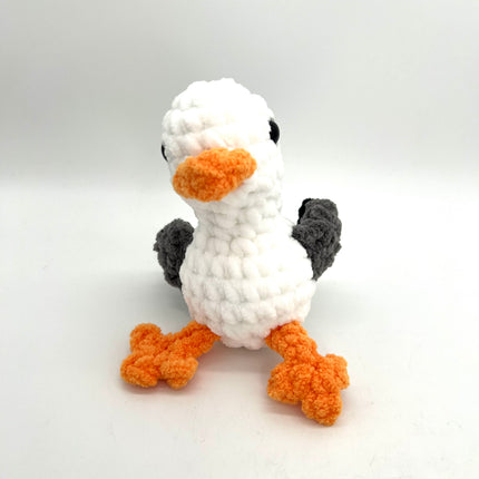 Seagull