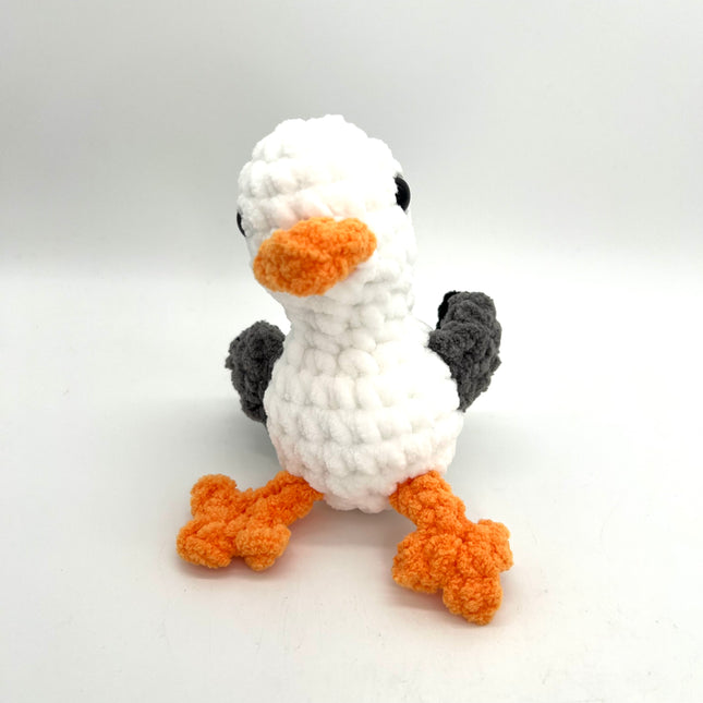 Seagull