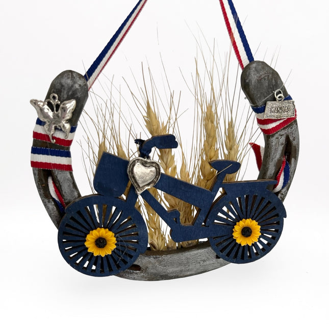 Blue Bike Horse Shoe