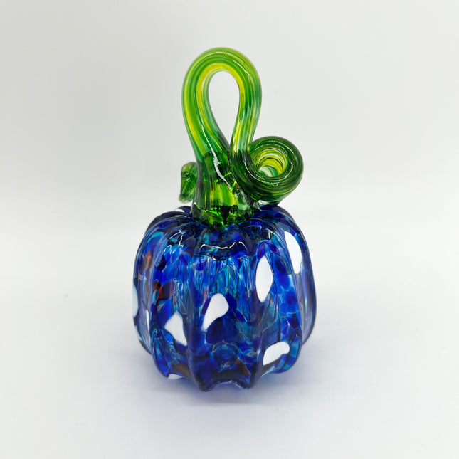 02 | Blue Mix Pumpkin