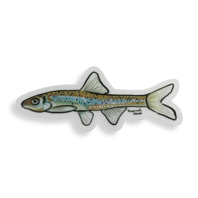 KS Peppered Chub Fish