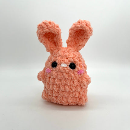Coral Bunny
