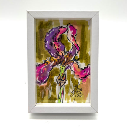 Mini Iris