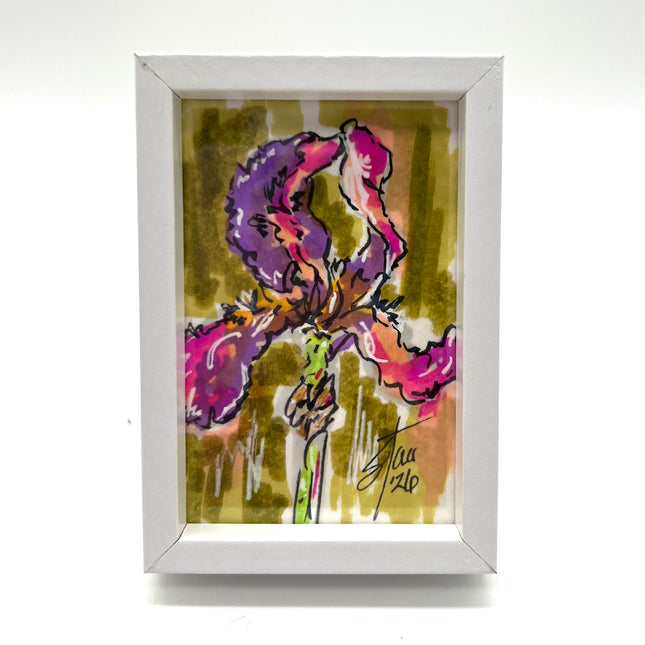 Mini Iris