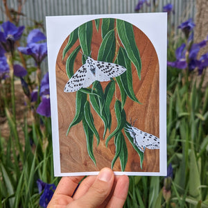 Giant Leopard Moth Card
