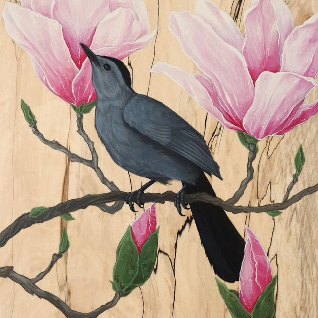 Grey Catbird in Magnolia